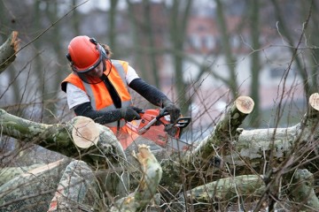 Planting & Removal