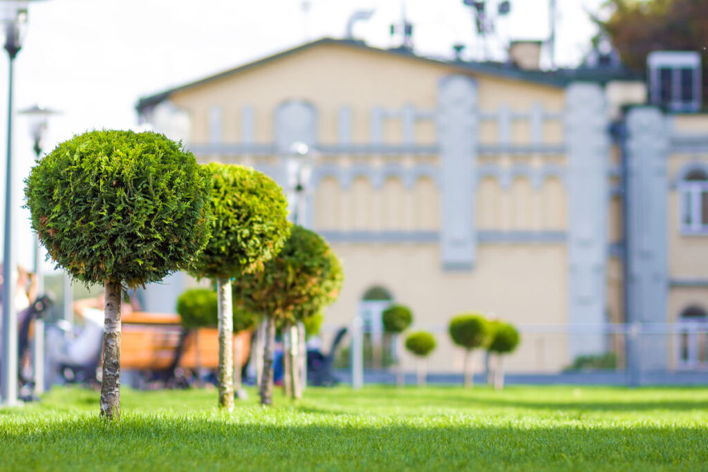 trees-with-business-center - Exquisite Lawn & Landscaping | Exquisite Lawn & Landscaping
